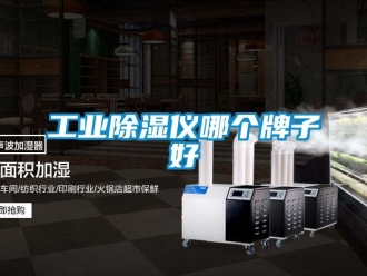 企業新聞工業除濕儀哪個牌子好