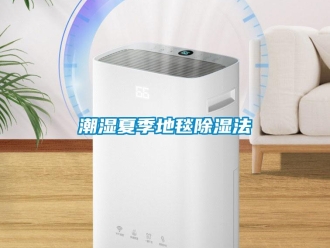 企業新聞潮濕夏季地毯除濕法