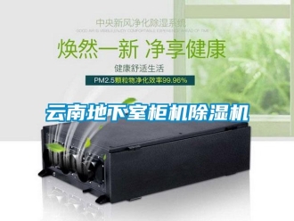 行業新聞云南地下室柜機除濕機