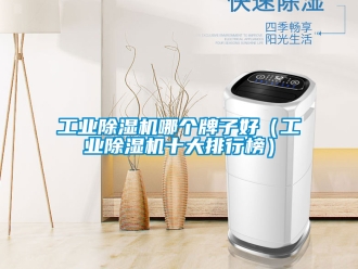 常見問題工業除濕機哪個牌子好（工業除濕機十大排行榜）