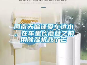 行業新聞回南天偏逢愛車進水，在車里長蘑菇之前用除濕機救了它
