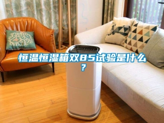 知識(shí)百科恒溫恒濕箱雙85試驗(yàn)是什么？