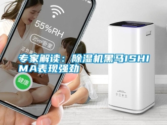 知識(shí)百科專家解讀：除濕機(jī)黑馬ISHIMA表現(xiàn)強(qiáng)勁