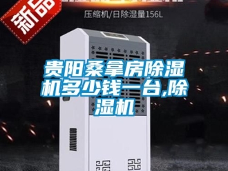 行業新聞貴陽桑拿房除濕機多少錢一臺,除濕機
