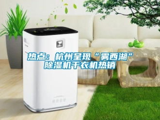 行業新聞熱點：杭州呈現“霧西湖”除濕機干衣機熱銷