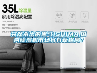 行業新聞突然殺出的黑馬ISHIMA,國內除濕機市場將有新格局？