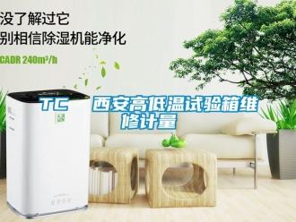 常見問題TC  西安高低溫試驗箱維修計量
