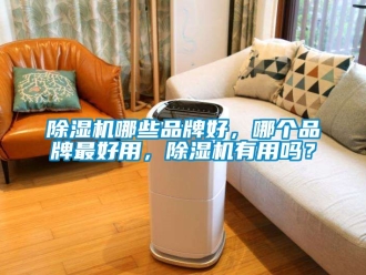 企業(yè)新聞除濕機(jī)哪些品牌好，哪個品牌最好用，除濕機(jī)有用嗎？