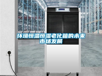 知識百科環(huán)境恒溫恒濕老化箱的未來市場發(fā)展