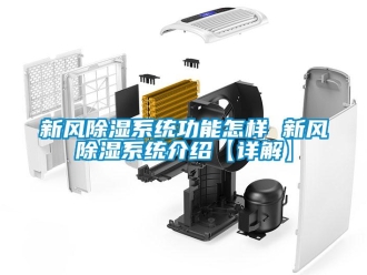 行業(yè)新聞新風(fēng)除濕系統(tǒng)功能怎樣 新風(fēng)除濕系統(tǒng)介紹【詳解】