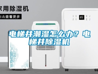 行業新聞電梯井潮濕怎么辦？電梯井除濕機