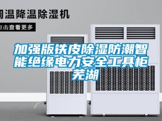 常見問題加強版鐵皮除濕防潮智能絕緣電力安全工具柜 蕪湖