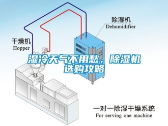 知識百科濕冷天氣不用愁，除濕機選購攻略