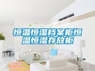 知識百科恒溫恒濕檔案柜恒溫恒濕存放柜