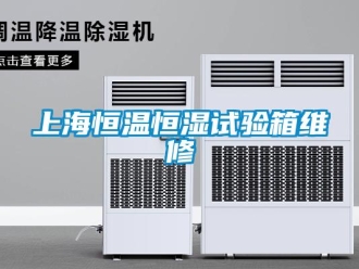 知識百科上海恒溫恒濕試驗箱維修