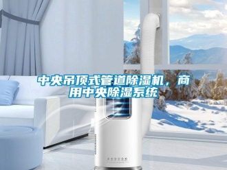 知識百科中央吊頂式管道除濕機，商用中央除濕系統