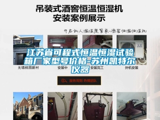 知識百科江蘇省可程式恒溫恒濕試驗箱廠家型號價格-蘇州凱特爾儀器