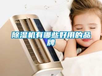 企業(yè)新聞除濕機(jī)有哪些好用的品牌