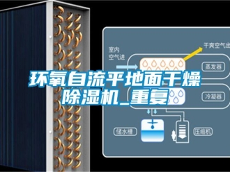 行業(yè)新聞環(huán)氧自流平地面干燥除濕機(jī)_重復(fù)