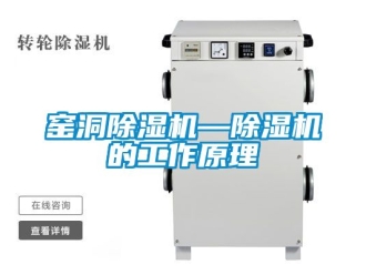 行業新聞窯洞除濕機—除濕機的工作原理