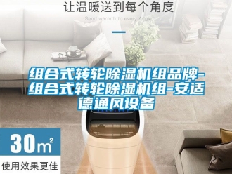 常見問題組合式轉輪除濕機組品牌-組合式轉輪除濕機組-安適德通風設備