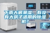 下雨天很潮濕，有沒有大房子適用的除濕機？