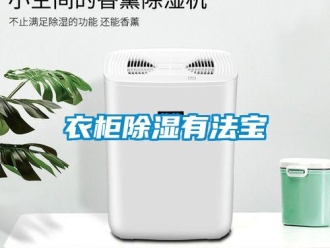 知識百科衣柜除濕有法寶