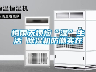 行業新聞梅雨天煩惱“濕”生活 除濕機防潮實在