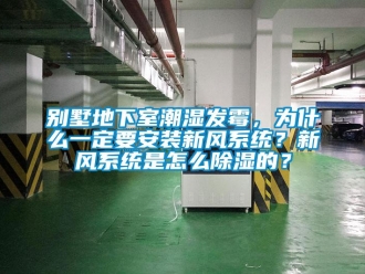 企業(yè)新聞別墅地下室潮濕發(fā)霉，為什么一定要安裝新風系統(tǒng)？新風系統(tǒng)是怎么除濕的？