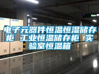 知識百科電子元器件恒溫恒濕儲存柜 工業(yè)恒溫儲存柜 實驗室恒溫箱