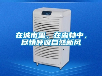 企業(yè)新聞在城市里，在森林中，盡情呼吸自然新風
