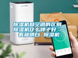 行業(yè)新聞除濕機和空調(diào)的區(qū)別 除濕機什么牌子好 一看就明白 除濕機
