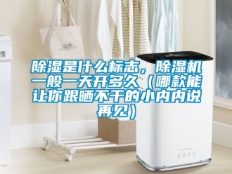 行業新聞除濕是什么標志，除濕機一般一天開多久（哪款能讓你跟曬不干的小內內說再見）