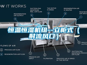知識百科恒溫恒濕機組--立柜式（射流風口）