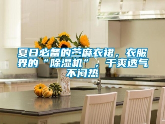 行業新聞夏日必備的苧麻衣裙，衣服界的“除濕機”，干爽透氣不悶熱