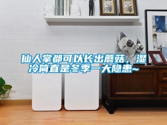 知識百科仙人掌都可以長出蘑菇，濕冷簡直是冬季一大隱患~
