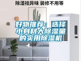 行業新聞好物推薦：選擇小身材大除濕量的實用除濕機