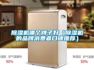 企業新聞除濕機哪個牌子好（除濕機的品牌消費者口碑推薦）