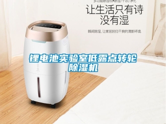 常見問題鋰電池實驗室低露點轉(zhuǎn)輪除濕機(jī)