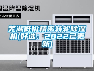 常見問題蕪湖低價精密轉輪除濕機(好選：2022已更新)