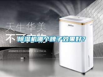 行業(yè)新聞除濕機哪個牌子效果好？