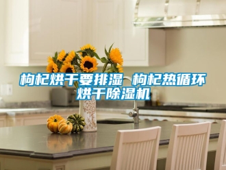 行業新聞枸杞烘干要排濕 枸杞熱循環烘干除濕機