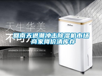 行業新聞回南天退潮沖擊除濕機市場 商家降價清庫存