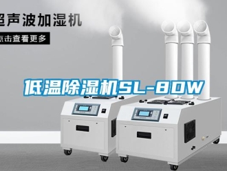 行業(yè)新聞低溫除濕機SL-8DW
