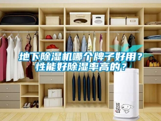 行業新聞地下除濕機哪個牌子好用？性能好除濕率高的？