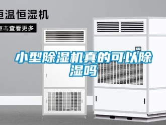 行業新聞小型除濕機真的可以除濕嗎