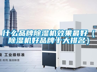 企業(yè)新聞什么品牌除濕機(jī)效果最好（除濕機(jī)好品牌十大排名）