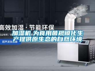 行業新聞加濕機　為食用菌規模化生產提供原生態的自然環境