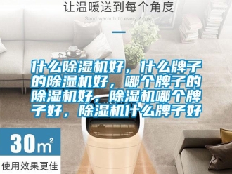 行業(yè)新聞什么除濕機(jī)好，什么牌子的除濕機(jī)好，哪個牌子的除濕機(jī)好，除濕機(jī)哪個牌子好，除濕機(jī)什么牌子好