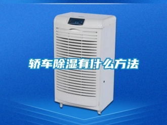 行業新聞轎車除濕有什么方法